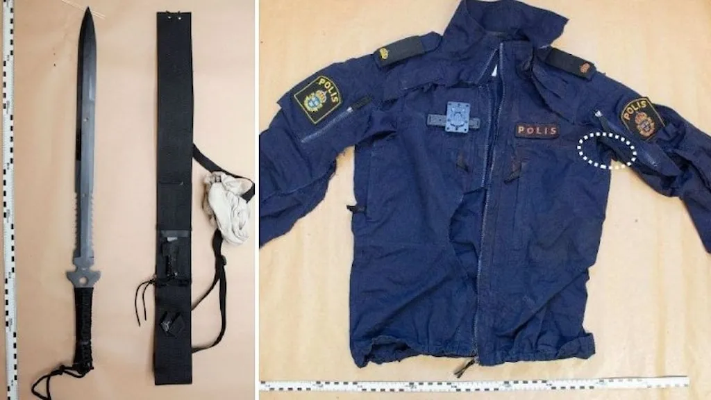 35-åring döms till vård efter mordförsök på poliser